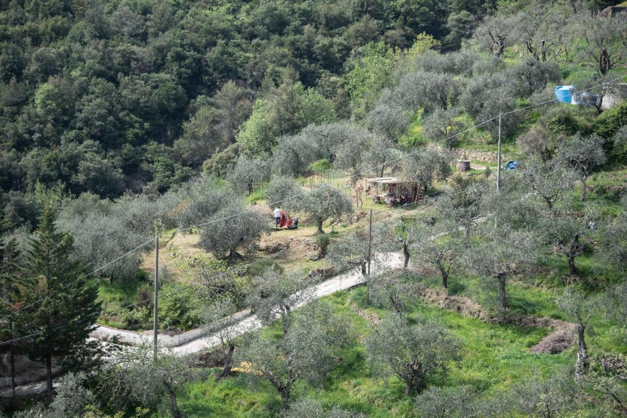 Nostro Rifugio Villa อาปริกาเล ภายนอก รูปภาพ