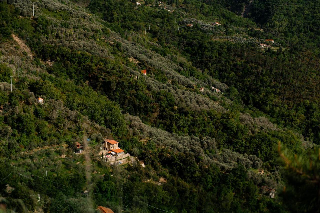 Nostro Rifugio Villa อาปริกาเล ภายนอก รูปภาพ