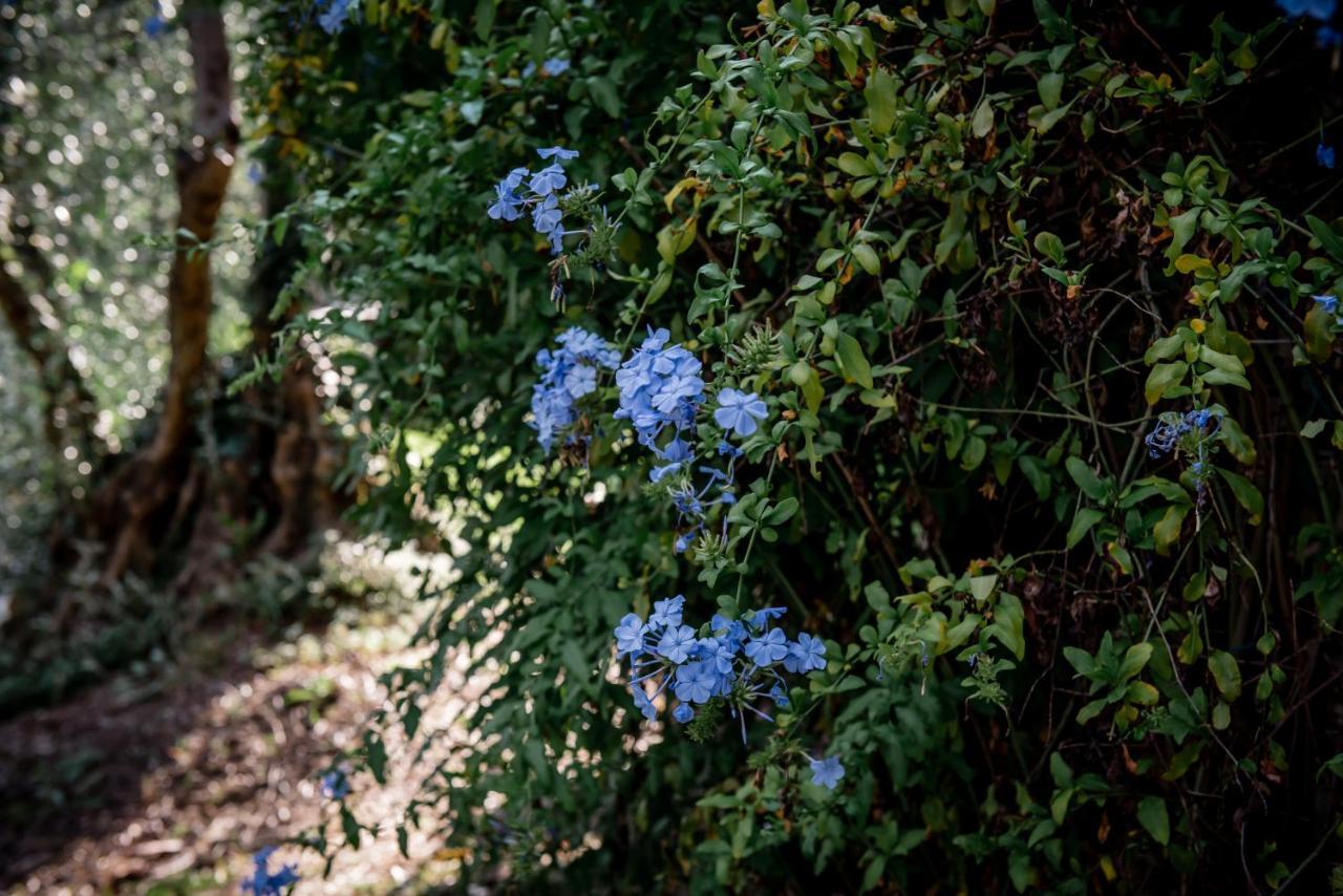 Nostro Rifugio Villa อาปริกาเล ภายนอก รูปภาพ