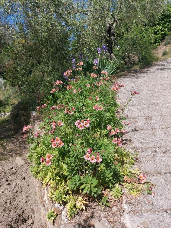 Nostro Rifugio Villa อาปริกาเล ภายนอก รูปภาพ