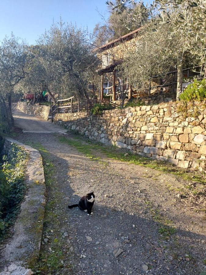 Nostro Rifugio Villa อาปริกาเล ภายนอก รูปภาพ